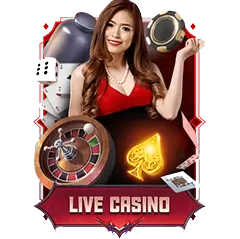 LiveCasino